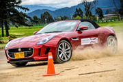 Jaguar 