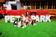 Nissan Colombia recibe 'Sello Zoolidario' otorgado por el Instituto Distrital de Protección y Bienestar Animal 