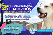 Nissan llevará a cabo la segunda jornada de adopción de perros y gatos 