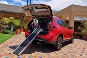Nissan X-Trail Pets, variante especial para familias con mascotas 