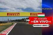 Segunda sesión de pruebas libres del Gran Premio de Hungría - ¡EN VIVO!
