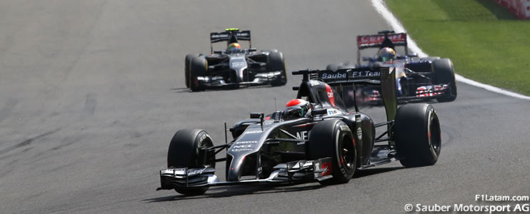 Sutil y Gutiérrez cumplen con sus labores - Reporte Carrera - GP de Bélgica - Sauber
 
